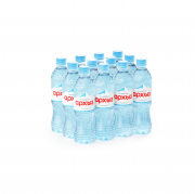 Вода "Легенда гор Архыз" 0,5 л без газа (12 шт. в упак.)