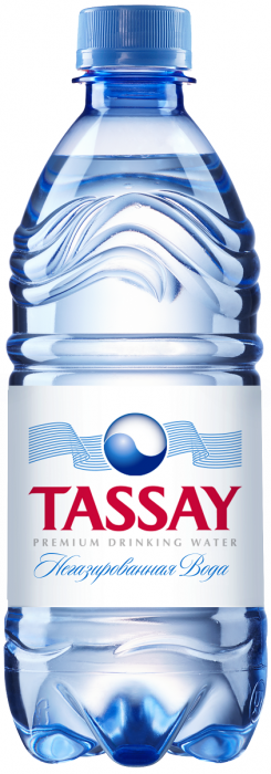 Минеральная вода «Tassay» 0,5 л (12 шт в упак) негаз пэт