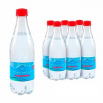 Вода «Новотерская» 0,5 л с газом (6 шт. в упак.)