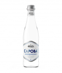 Минеральная вода «Сарова» 0,5 л (6 шт в упак) негаз стекло