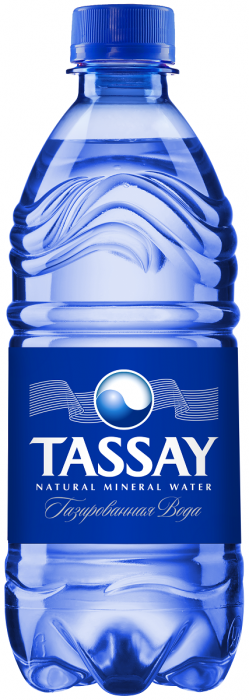 Минеральная вода «Tassay» 0,5 л (12 шт в упак) газ пэт